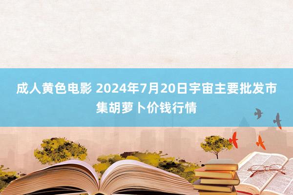 成人黄色电影 2024年7月20日宇宙主要批发市集胡萝卜价钱行情
