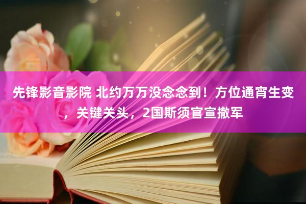 先锋影音影院 北约万万没念念到！方位通宵生变，关键关头，2国斯须官宣撤军