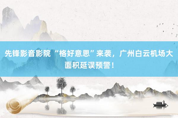 先锋影音影院 “格好意思”来袭，广州白云机场大面积延误预警！