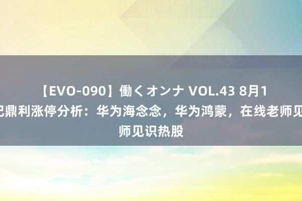 【EVO-090】働くオンナ VOL.43 8月15日世纪鼎利涨停分析：华为海念念，华为鸿蒙，在线老师见识热股