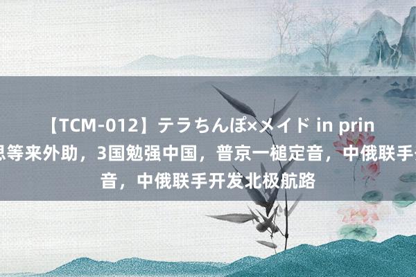 【TCM-012】テラちんぽ×メイド in prin MIKA 好意思等来外助，3国勉强中国，普京一槌定音，中俄联手开发北极航路
