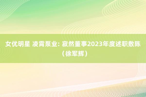 女优明星 凌霄泵业: 寂然董事2023年度述职敷陈(徐军辉)