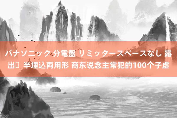 パナソニック 分電盤 リミッタースペースなし 露出・半埋込両用形 商东说念主常犯的100个子虚