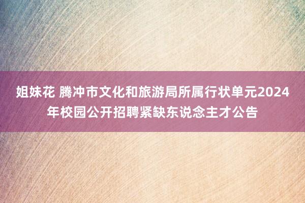 姐妹花 腾冲市文化和旅游局所属行状单元2024年校园公开招聘紧缺东说念主才公告