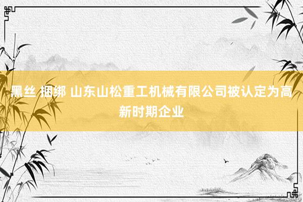 黑丝 捆绑 山东山松重工机械有限公司被认定为高新时期企业