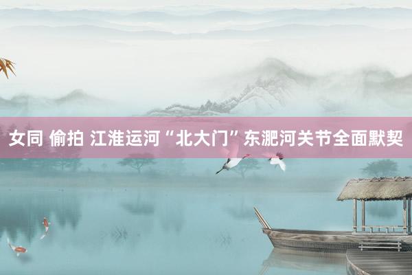 女同 偷拍 江淮运河“北大门”东淝河关节全面默契
