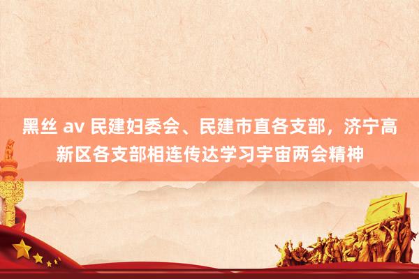 黑丝 av 民建妇委会、民建市直各支部，济宁高新区各支部相连传达学习宇宙两会精神