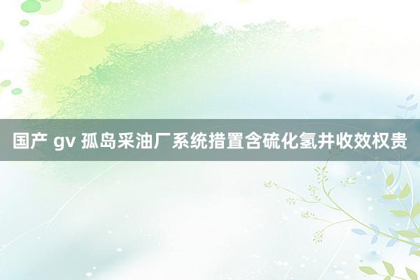 国产 gv 孤岛采油厂系统措置含硫化氢井收效权贵