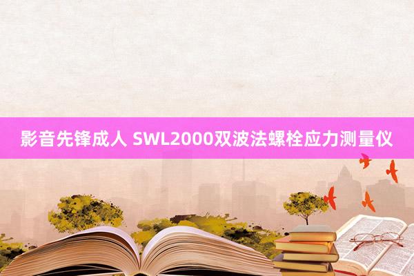 影音先锋成人 SWL2000双波法螺栓应力测量仪