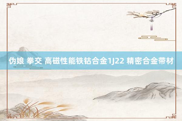 伪娘 拳交 高磁性能铁钴合金1J22 精密合金带材