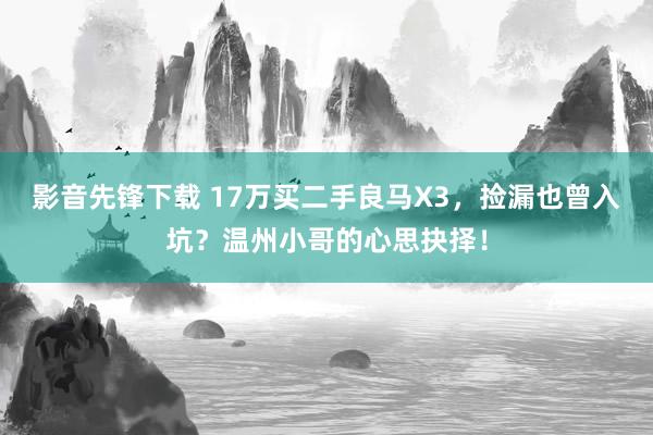 影音先锋下载 17万买二手良马X3，捡漏也曾入坑？温州小哥的心思抉择！