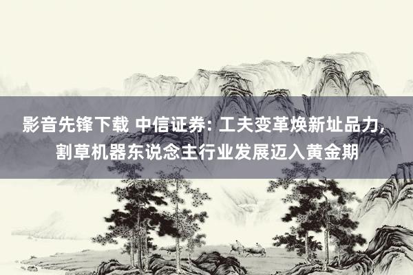 影音先锋下载 中信证券: 工夫变革焕新址品力， 割草机器东说念主行业发展迈入黄金期