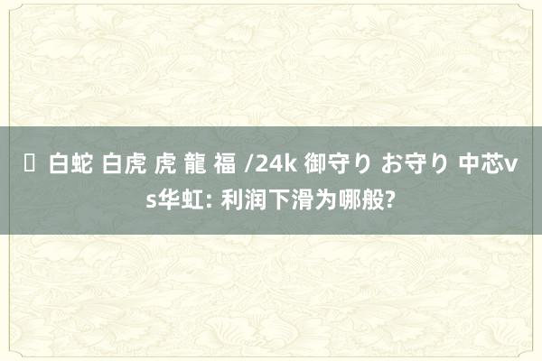 ✨白蛇 白虎 虎 龍 福 /24k 御守り お守り 中芯vs华虹: 利润下滑为哪般?
