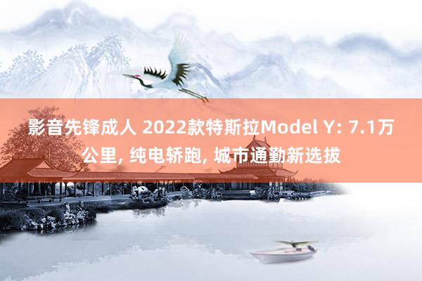 影音先锋成人 2022款特斯拉Model Y: 7.1万公里， 纯电轿跑， 城市通勤新选拔