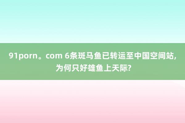 91porn。com 6条斑马鱼已转运至中国空间站， 为何只好雄鱼上天际?
